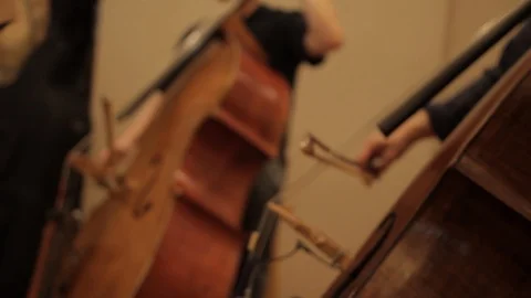 Dolly in close up bass chello 스톡 동영상 86530397