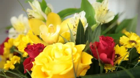 DOLLY: Color Your Day With Bouquet Stock Footage