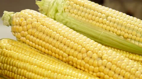 DOLLY: Corn Cob Boiling in a Pot Stock Footage