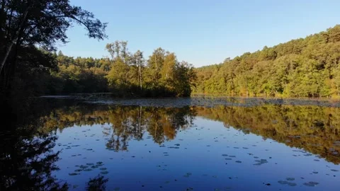 Dolly in from drone over lake in forest during fall day Stock Footage 134824617