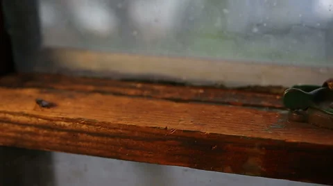 Dolly to Fly on Window Stock Footage 57750239