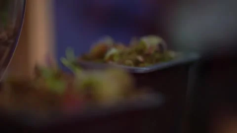 Dolly in of flytrap plant Dionaea muscipula blurring from one to another Stock Footage 242659639