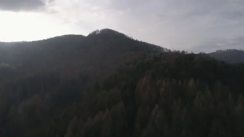 Dolly forward shot approaching forest hill in autumn colors with sun rays, 4K Stock Footage 73816139