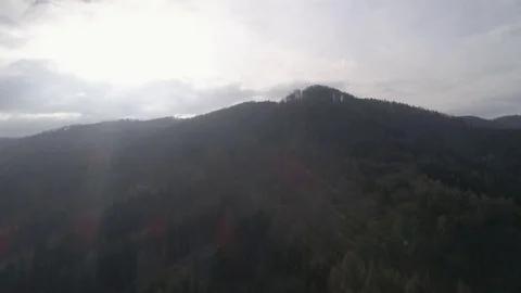 Dolly forward shot of forest hill in autumn colors with the sun rays, 4K Stock Footage 73815098