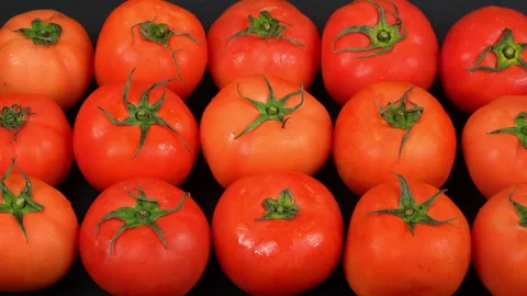 Dolly Full Frame Texture of Fresh Red Tomatoes Stock Footage 342755455