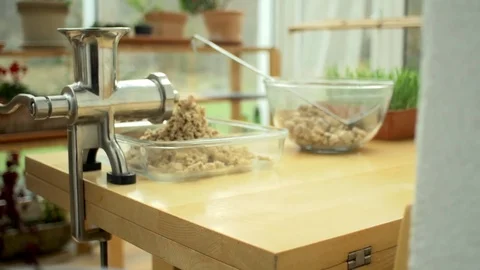 Dolly grinding acorns Stock Footage 71190213