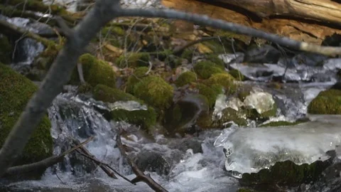 Dolly in icy stream with tree and moss 스톡 동영상 85102343