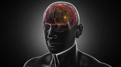 Dolly in inside a 3D human head to a brain with neurons during synapsis. Stock Footage