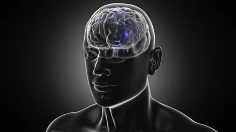 Dolly in inside a 3D human head to a brain with neurons during synapsis. Stock Footage 54857005