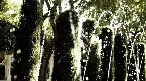 Dolly Left On Fountains Stock Footage 12340855