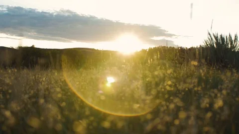 Dolly left through grass into setting sun with lens flare on prairie Stock Footage 74818558