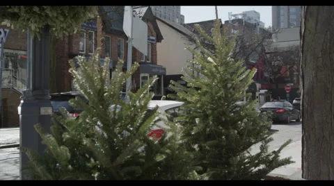 Dolly left through trees to reveal street Vidéo 57057947
