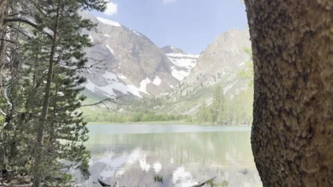 Dolly left from a Tree Trunk to reveal Mountains and a Lake Stock Footage 245838504