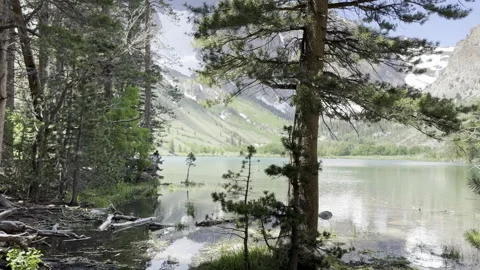 Dolly left from a Tree Trunk to reveal Mountains and a Lake2 Stock Footage 245838556