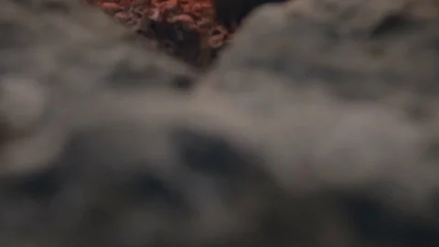 DOLLY MOTION: Red flame heats the old pot. Cooking outdoors. Cooking on fire Stock Footage 76201206