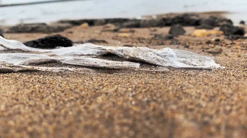 Dolly motion. Trash, plastic, garbage, environmental pollution on the beach. 스톡 동영상 116806916