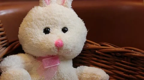 (Dolly Out) Easter Bunny Stuffed Animal in Basket Vidéo 63012703