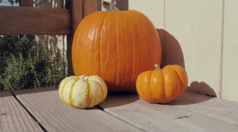 Dolly Out from Fall Pumpkins Stock Footage 68543745