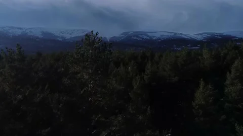 Dolly in, Pan up of snow mountain trees from above Stock Footage 158547585