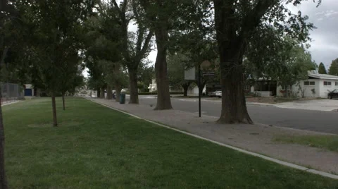 Dolly of a park through trees Stock Footage 41918190