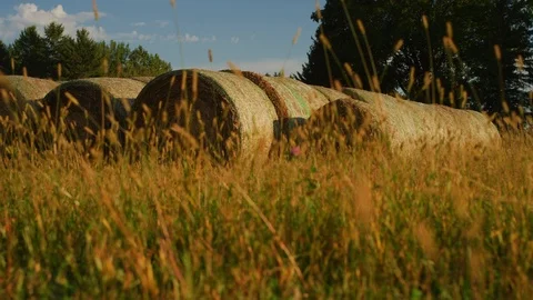 Dolly Past Hay Bales Stock Footage 108406997