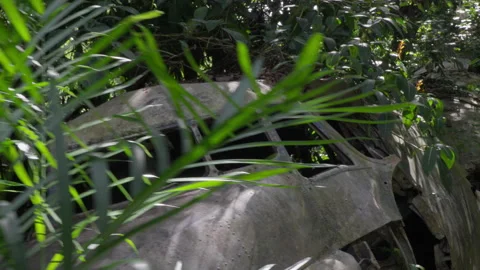 Dolly push-in shot from the cockpit of an abandoned plane wreck in the jungle Stock Footage 314938227