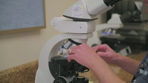 Dolly right of a man looking at slides under a large microscope Stock Footage 130210910