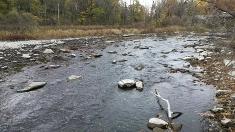 Dolly In up the river - drone Stock Footage 289637271
