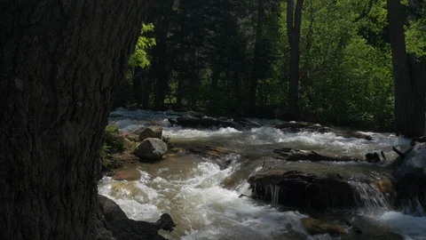 Dolly of rushing spring water run-off of Big Cottonwood Creek. Stock Footage 100642976