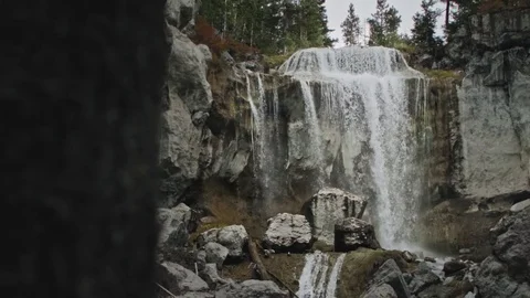 Dolly shot from behind tree reveals a powerful Pacific Northwest waterfall Video stock 81419699