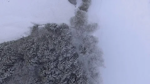 Dolly shot bird view of  trees covered with snow and a fresh snow trail, 4K Stock Footage 73219278