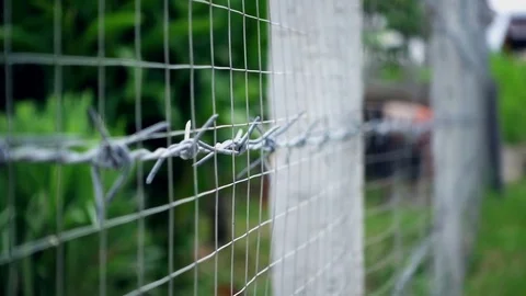 Dolly shot, close-up the iron barbed wire fence Stock Footage 76788939