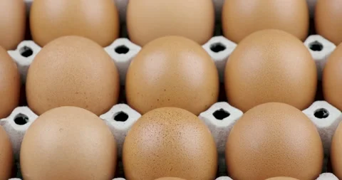Dolly in shot close up of the raw chicken eggs pattern on egg panel Stock Footage 136080211
