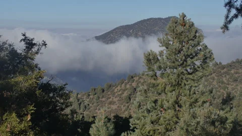 Dolly shot of clouds coming in Stockbeeldmateriaal 142098833