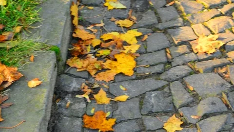 Dolly shot of cobblestone pavement. Stock Footage 81054786