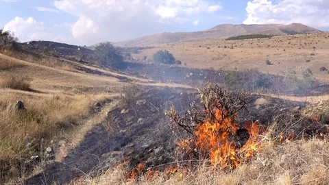Dolly shot of the deadly fire destroying everything on his path Stockbeeldmateriaal 80232303