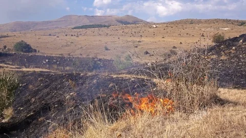 Dolly shot of the deadly fire destroying everything on his path Stock Footage 85238161