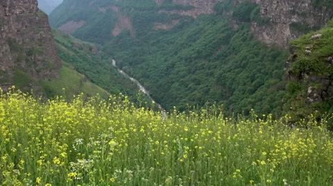 Dolly shot of the deep canyon Stock Footage 68001711