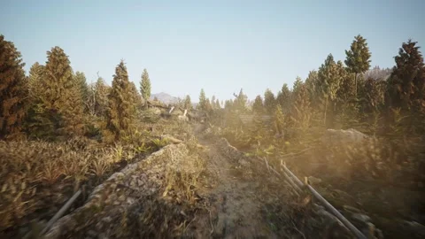 Dolly shot on a dirt path between cultivated oats and wheat parcels in farm Stock Footage 226983260