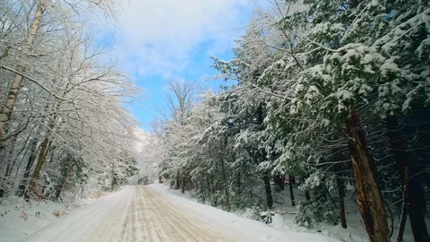 Dolly Shot Down Beautiful Rural Road in Winter Stock Footage 120490683