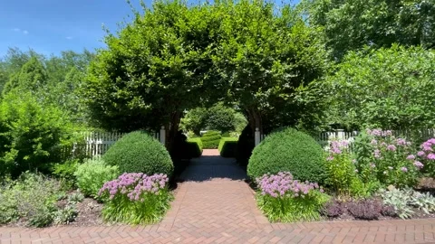 Dolly shot down flowered garden path underneath hedge trellis Stock Footage 239100558