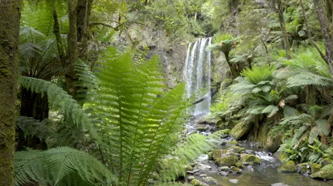 Dolly shot of the Hopetoun Falls in Victoria, Australia Stock Footage 59772514
