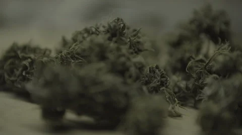 Dolly shot of Marijuana buds Vídeo Stock 37269843