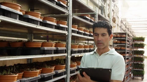 Dolly Shot, Medium Shot, 10 Seconds Or Greater, Indoors, Day, Potted Plant, Video stock 95861914