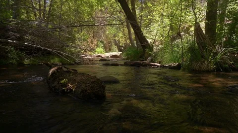 Dolly shot of a mountain stream in a lush canyon Stock Footage 91200600