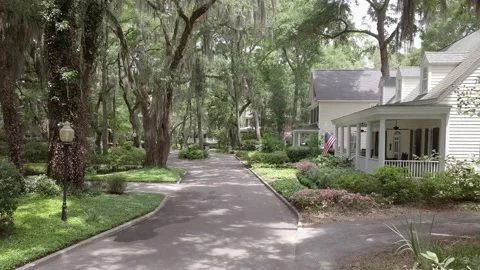 Dolly shot moving through beautiful wooded neighborhood in the American South. Vidéo 130754280