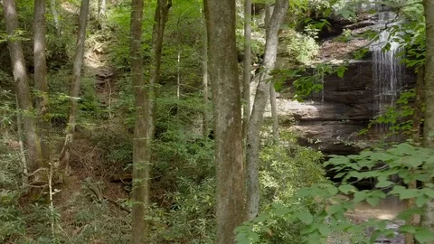 Dolly shot moving through deep forest with waterfall in background Vidéo 106095796