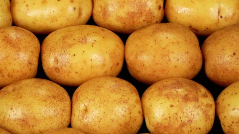 Dolly Shot Over Clean Raw Yellow Potatoes Pattern Stock Footage 343600214