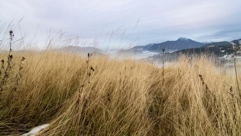Dolly shot over dry grass meadow in cloudy weather in foggy landscape time lapse Stock Footage 73105526