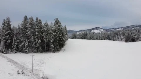 Dolly shot over vast snow covered field with trees and mountain range Stock Footage 125401688